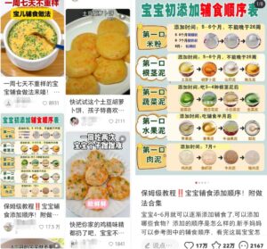 婴儿辅食虚拟资料项目思路，无门槛轻松上手操作-黑马创业网