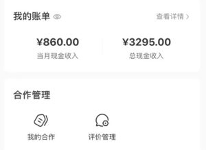 小红书商单：稳定收入的新机会，月入1-3千不是梦，可矩阵操作！-黑马创业网