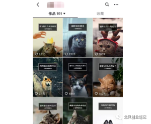 抖音宠物冷知识号：快速涨粉变现，教你如何操作-黑马创业网