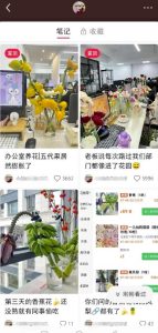 小红书导流快团团卖货实操案例，日引200+精准粉-黑马创业网