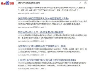 如何提高网站日收？新站养日收的核心方法和技巧-黑马创业网
