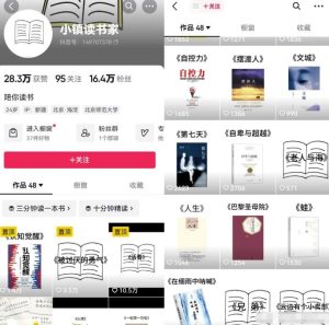 利用AI矩阵操作短视频书单号，轻松搞定涨粉+变现，玩法分享-黑马创业网