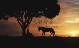 【元宵节见闻】05年的小伙压力上来了？如何应对赚钱欲望重要-黑马创业网