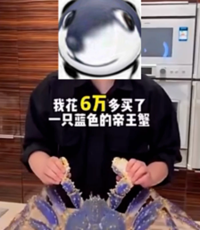 如何让短视频快速上热门，分享最快起号的方法，学完立马起飞！-黑马创业网