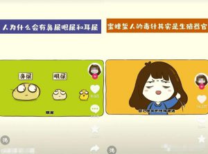 爆款冷知识短视频玩法:操作思路分享,每天10分钟轻松变现!-黑马创业网