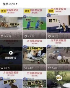 爆火的方言搬砖项目，新手小白就可以做，简简单单的日入100+-黑马创业网