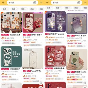 低成本副业卖手机壳项目思路，做的好轻轻松松年入10W，玩法无私分享给你！-黑马创业网