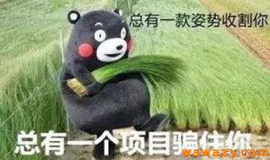智天股权上市成功是真的吗？特大骗局“智天股权”，最后疯狂的收割-黑马创业网