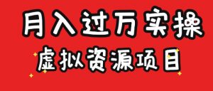 虚拟资源项目实操月入过万-黑马创业网