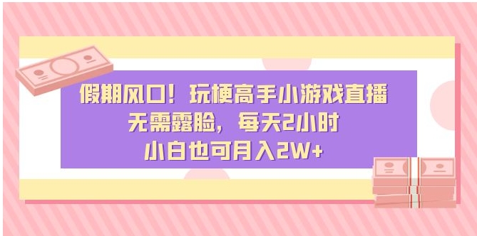 假期风口！玩梗高手小游戏直播，无需露脸，每天2小时，小白也可月入2W+-黑马创业网