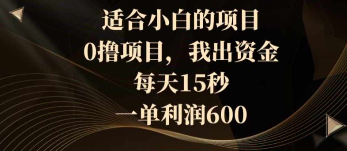 适合小白的项目，0撸项目，我出资金，每天15秒，一单利润600-黑马创业网