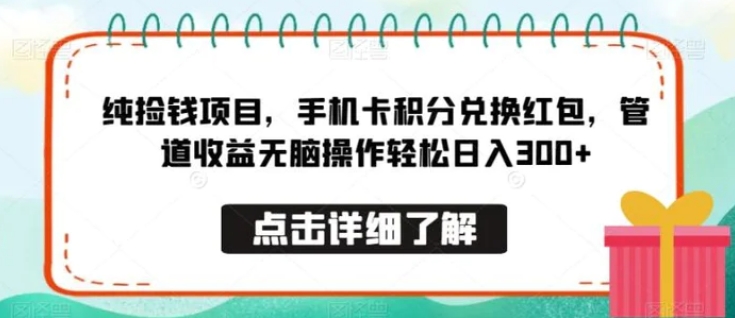 纯捡钱项目，手机卡积分兑换红包，管道收益无脑操作轻松日入300+-黑马创业网