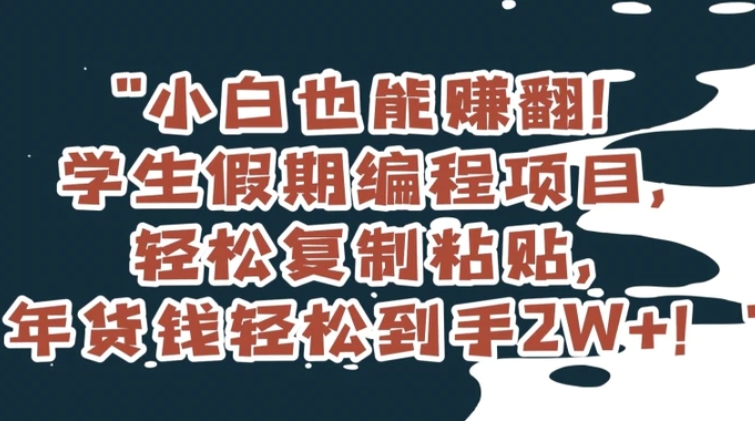 小白也能赚翻！学生假期编程项目，轻松复制粘贴，年货钱轻松到手2W+【揭秘】-黑马创业网