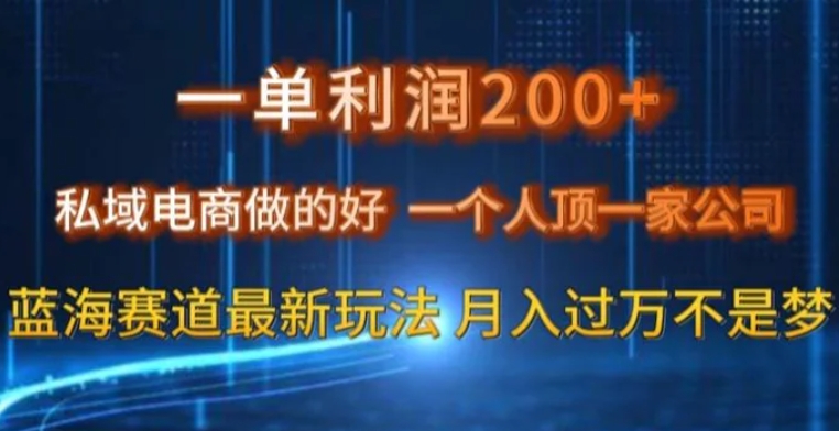 一单利润200私域电商做的好，一个人顶一家公司蓝海赛道最新玩法【揭秘】-黑马创业网