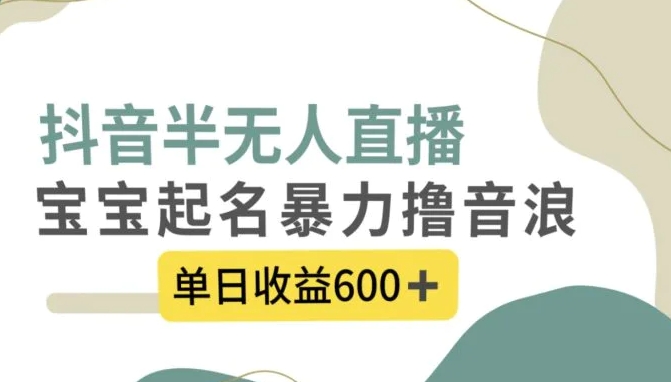 抖音半无人直播，宝宝起名，暴力撸音浪，单日收益600+-黑马创业网