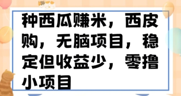 种西瓜赚米，西皮购稳定长久零撸小项目-黑马创业网
