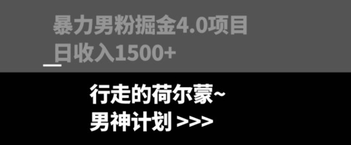 暴力男粉掘金4.0项目不违规不封号无脑复制单人操作日入1000+-黑马创业网