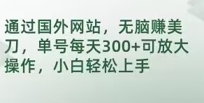 通过国外网站，无脑赚美刀，单号每天300+可放大操作，小白轻松上手【揭秘】-黑马创业网