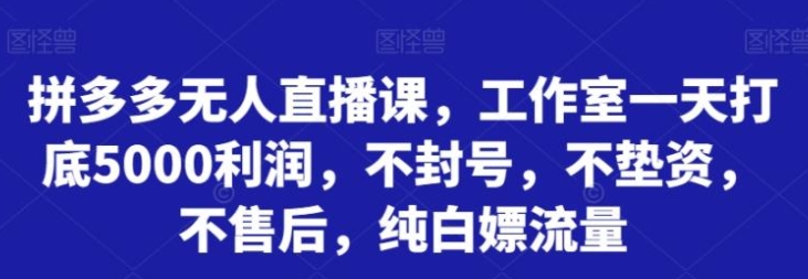 拼多多无人直播课，工作室一天打底5000利润，不封号，不垫资，不售后，纯白嫖流量-黑马创业网