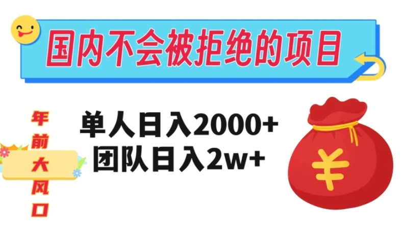 在国内不怕被拒绝的项目，单人日入2000，团队日入20000+【揭秘】-黑马创业网