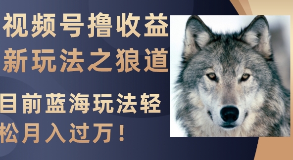 视频号撸收益新玩法之狼道，目前蓝海玩法轻松月入过万！-黑马创业网