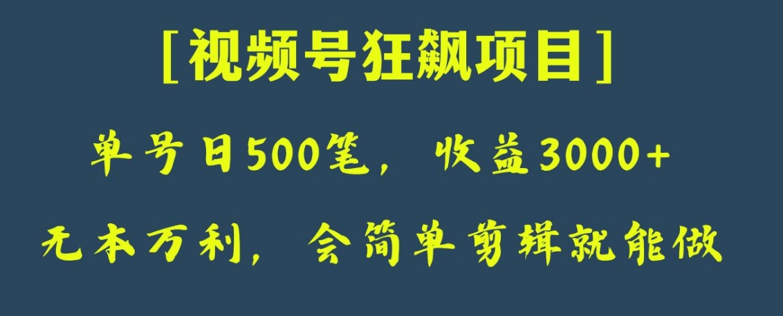 日收款500笔，纯利润3000+，视频号狂飙项目！-黑马创业网