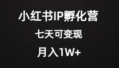 价值2000+的小红书IP孵化营项目，超级大蓝海，七天即可开始变现，稳定月入1W+-黑马创业网
