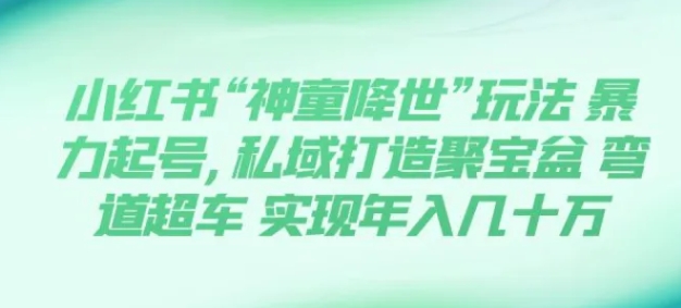 小红书“神童降世”玩法 暴力起号,私域打造聚宝盆 弯道超车 实现年入几十万-黑马创业网