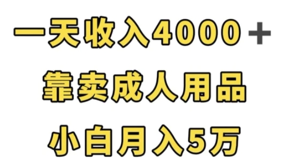 一天收入4000+，靠卖成人用品，小白轻松月入5万【揭秘】-黑马创业网