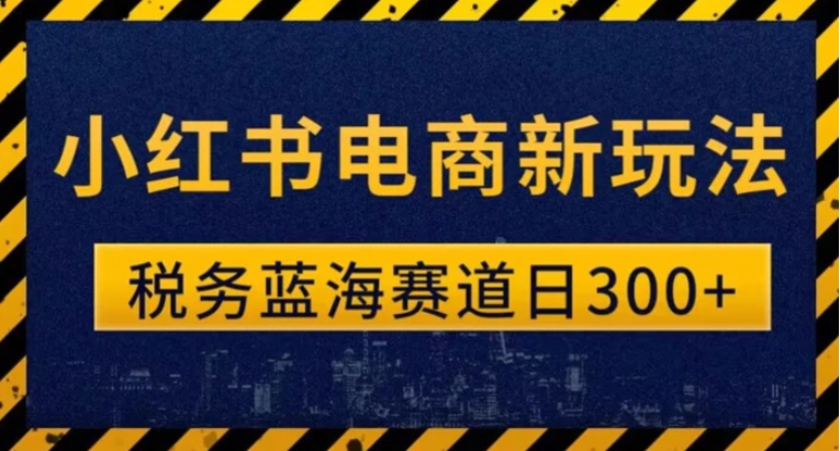 税务师小红书电商新玩法，知识撸金稳定300+-黑马创业网