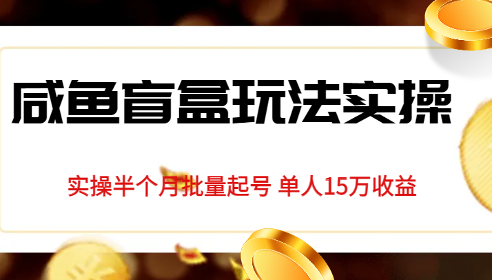 独家首发咸鱼盲盒玩法实操，半个月批量起号单人15万收益揭秘-黑马创业网