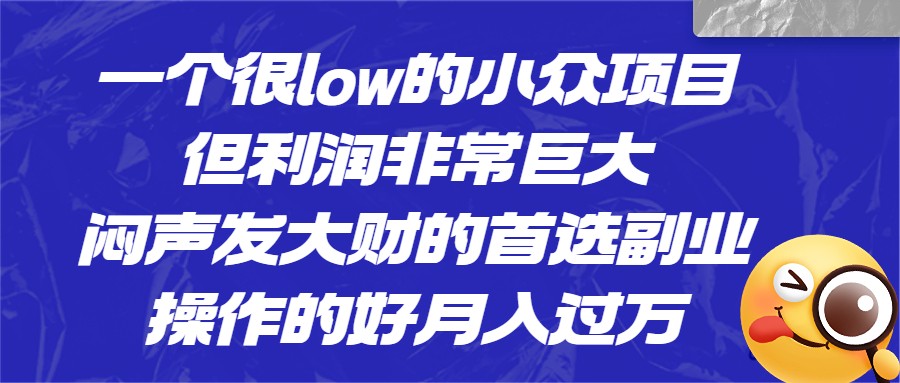 一个很low的小众项目，但利润非常巨大，闷声发大财的首选副业，月入1W+-黑马创业网
