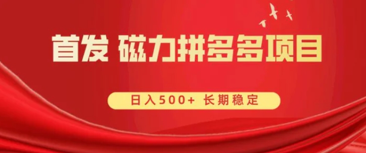 首发 磁力拼多多自撸 日入500+-黑马创业网