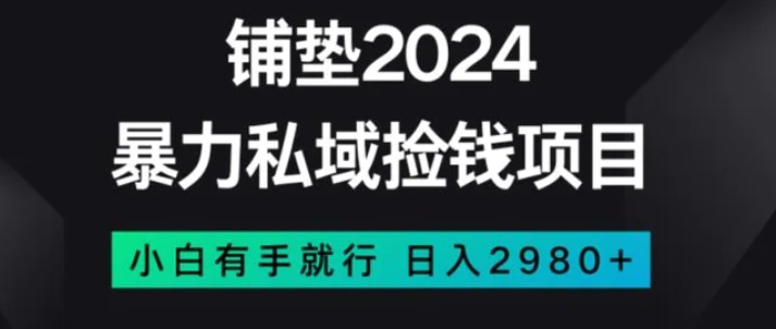 暴力私域捡钱项目，小白无脑操作，日入2980【揭秘】-黑马创业网