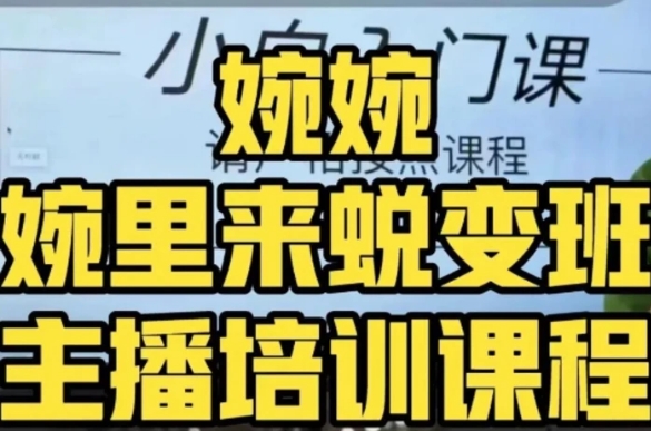 婉婉·婉里来蜕变班全方位理解底层逻辑并灵活运用-黑马创业网