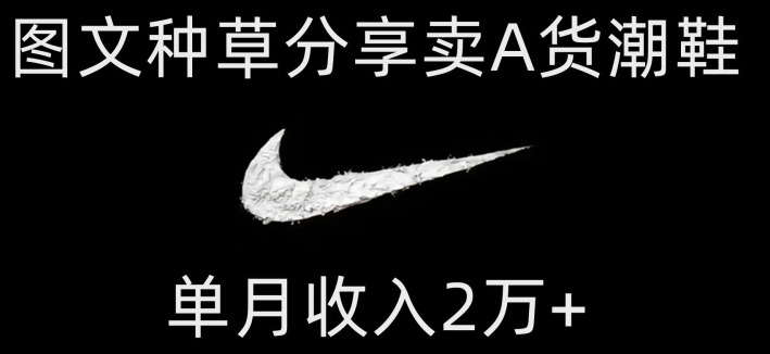 靠图文种草分享卖A货潮鞋，每天一小时，单月收入2万+【揭秘】-黑马创业网