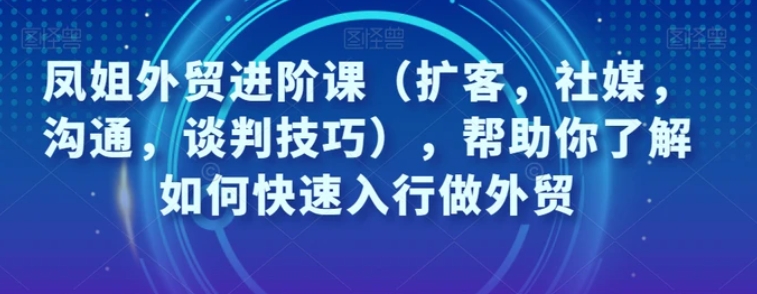 凤姐外贸进阶课，帮助你了解如何快速入行做外贸-黑马创业网