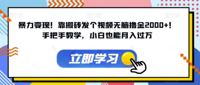 暴力变现！靠搬砖发个视频无脑撸金2000+！手把手教学，小白也能月入过万【揭秘】-黑马创业网