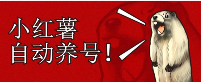 小红书养号秘籍，如何自动涨粉清晰系统标签打造高权重账号【揭秘】-黑马创业网