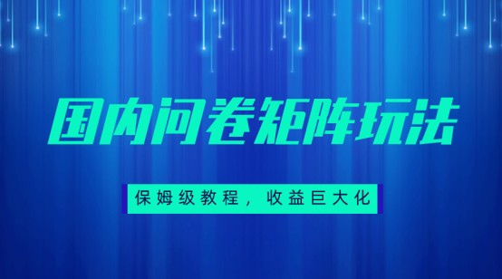 保姆级教程，国内问卷矩阵玩法，轻松赚收益-黑马创业网