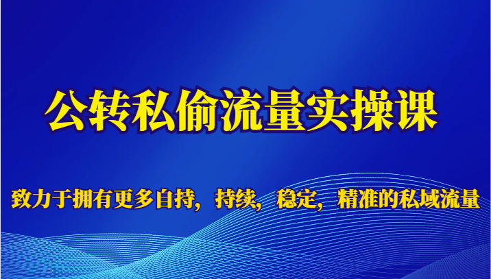 公转私偷流量实操课，致力于拥有更多自持，持续，稳定，精准的私域流量-黑马创业网