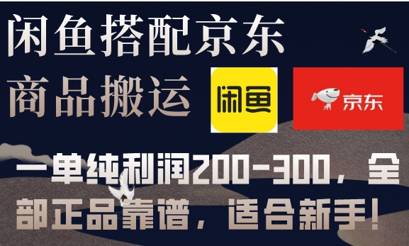 闲鱼搭配京东备份库搬运，一单纯利润200-300，全部正品靠谱，适合新手！-黑马创业网