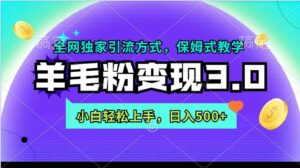 （9116期）羊毛粉变现3.0全网独家引流方式，小白轻松上手，日入500+-黑马创业网