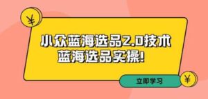 （9189期）拼多多培训第33期：小众蓝海选品2.0技术-蓝海选品实操！-黑马创业网