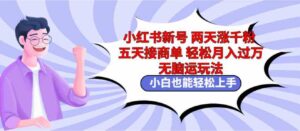 （9239期）小红书新号两天涨千粉五天接商单轻松月入过万无脑搬运玩法小白也能轻…-黑马创业网
