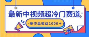 （9275期）最新中视频超冷门赛道，轻松过原创，单条视频收益1000＋-黑马创业网