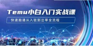 （9295期）Temu小白入门实战课：跨境拼多多电商培训快速跑通从入驻到出单全流程-12节-黑马创业网