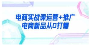 （9313期）电商实战课运营+推广，电商新品从0打爆（99节视频课）-黑马创业网