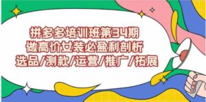 （9333期）拼多多培训班第34期：做高价女装必盈利剖析选品/测款/运营/推广/拓展-黑马创业网