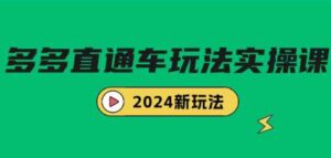 （9412期）多多直通车玩法实战课，2024新玩法（7节课）-黑马创业网